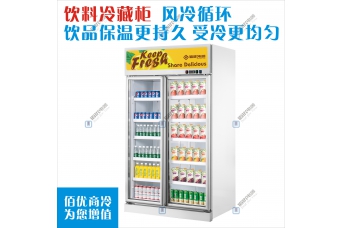 双门饮料冷藏柜，立式保鲜展示柜，商用冷柜冰柜定制