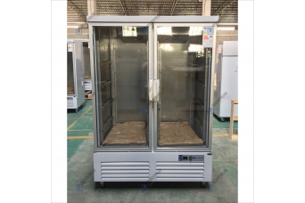 双门冷冻展示柜，立式风冷冰柜定制，一体机展示柜冰柜