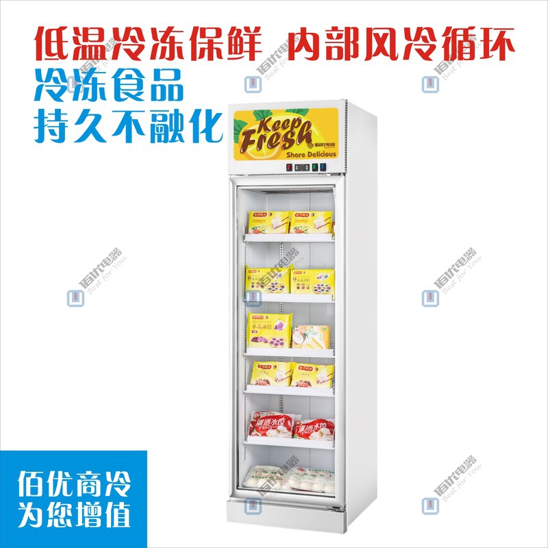 立式冷冻展示柜，单门冷冻展示柜，冷冻展示柜冰箱