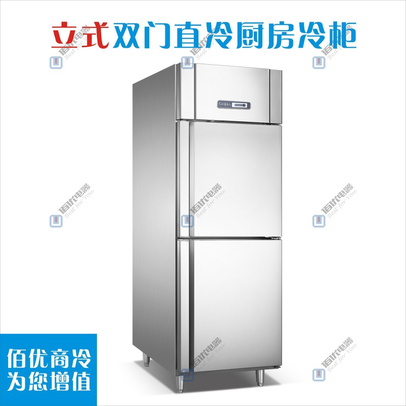 商用冷柜定制，双门直冷冰箱，立式冷冻冰柜厂家